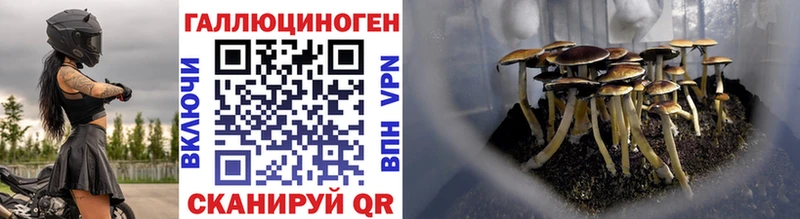 Галлюциногенные грибы мицелий  Пугачёв 